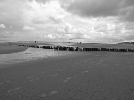 norderney island in the north sea photo