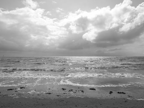 the beach of norderney photo