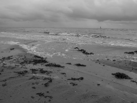 the beach of norderney photo