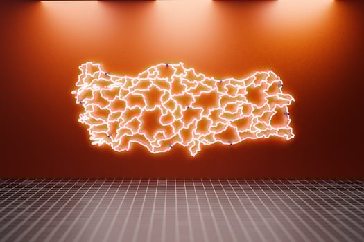 Neon sign shaped of Turkey on wall. photo