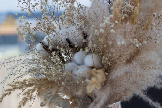 bouquet dried flowers warm range of white pink. photo