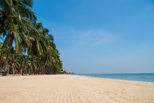 Landscape summer panorama front view tropical palm and coconut trees sea beach blue white sand sky background calm Nature ocean Beautiful  wave water travel Bangsaen Beach East thailand Chonburi photo