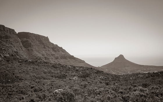 Table Mountain National Park and Lions head in Cape Town. photo