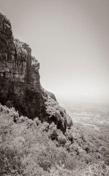 View from Table Mountain National Park Cape Town to Claremont. photo