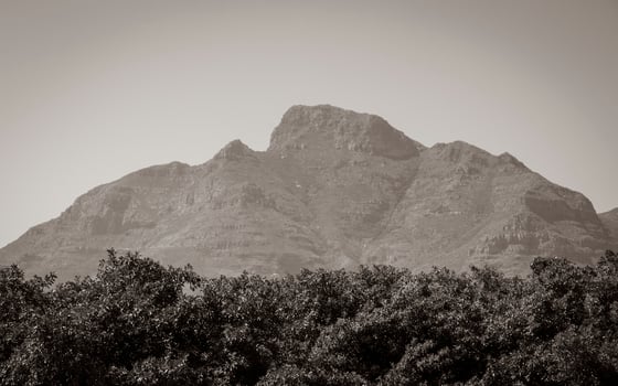 Mountains, Tablemountain National Park, Cape Town, South Africa. photo