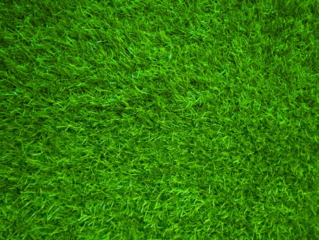 Green grass texture background grass garden concept used for making green background football pitch, Grass Golf, green lawn pattern textured background. photo