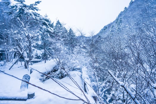 heavy snow  at Heike No Sato Village in Tochigi Prefecture, Nikko City, JAPAN photo