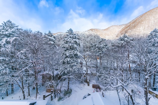 heavy snow  at Heike No Sato Village in Tochigi Prefecture, Nikko City, JAPAN photo