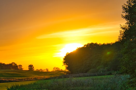 Sunset on a meadow at the edge of the forest in Brandenburg. Landscape shot photo