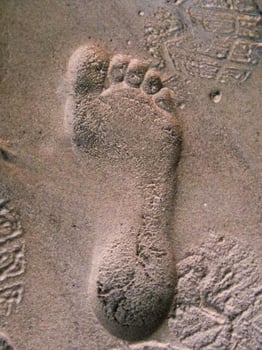 bare footprint in the wet sand photo