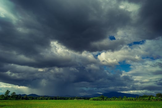 Storm clouds on rice field in rainy season photo