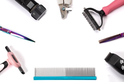 Tool for the groomer on a white background. Dog grooming accessories. Scissors for cutting animals. View from above photo