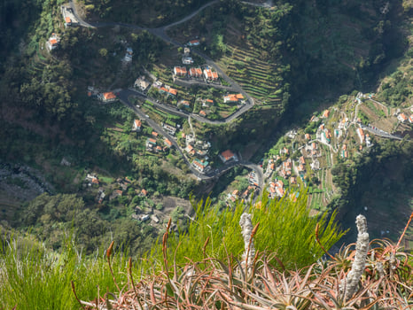 the island of madeira photo