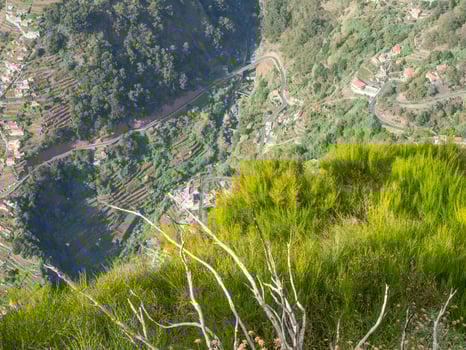 the island of madeira photo