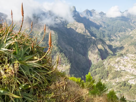the island of madeira photo