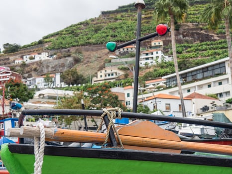 the island of madeira photo