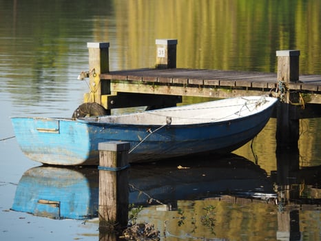 small lake in westphalia photo