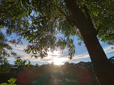 landscape natural photo