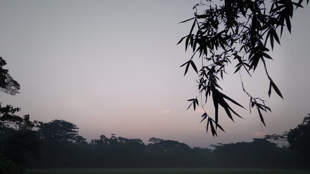landscape natural photo