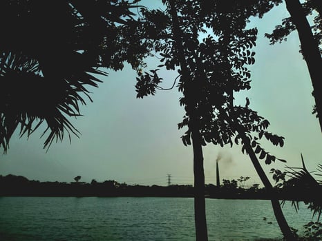 landscape natural photo