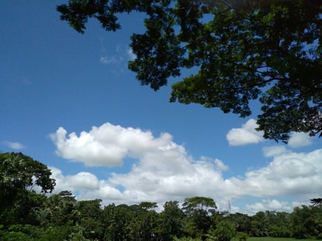 landscape natural photo