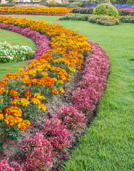 Colourful Flowerbeds and Winding Grass Pathway in an Attractive photo
