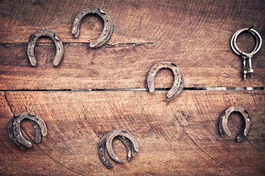 old horseshoe on wood for vintage style photo