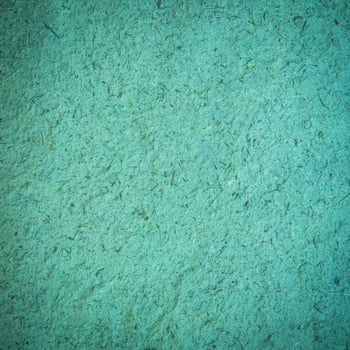 mulberry green paper texture and background photo