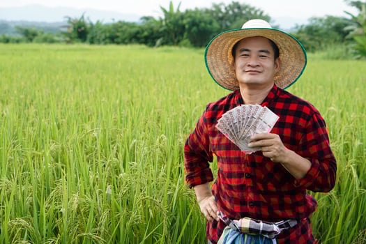 Asian farmer man is at paddy field, wears hat and red plaid shirt, hold Thai banknote money. Concept , Farmer happy to get profit, income, agriculture supporting money. photo