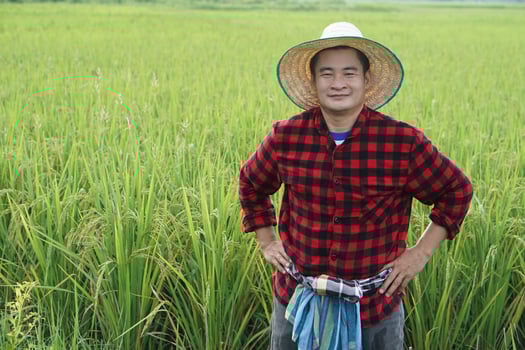 Handsome Asian man farmer is at paddy field, wears hat, red plaid shirt, puts hands on hips, feels confident.  Concept, agriculture occupation, farmer grow organic rice. photo