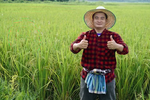 Handsome Asian man farmer is at paddy field, wears hat, red plaid shirt, thumbs up.  Feels confident.  Concept, agriculture occupation, farmer grow organic rice. photo