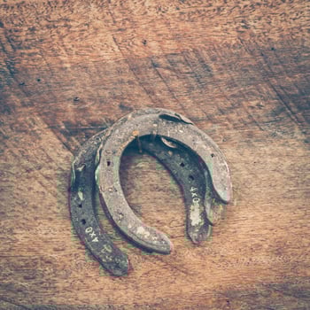old horse shoe on wood background photo