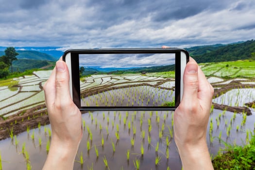 Hand taking picture with mobile at Green Terraced Rice Field in Chiangmai, Thailand photo