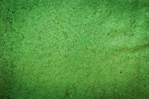 green mulberry paper texture and background close up photo