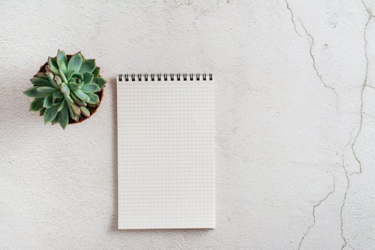 Empty notebook and succulent on a light background. Planning and goals. Eco lifestyle photo