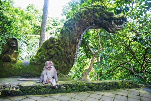 Monkey sitting near the dragon and monkey statue photo