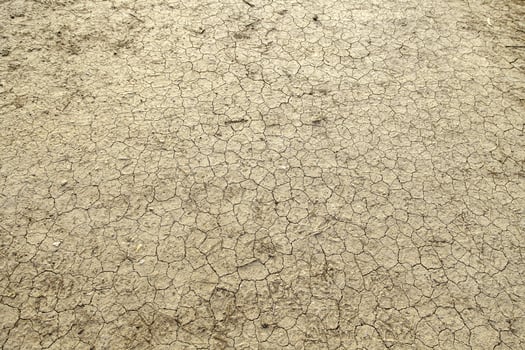 Dry land in a drought photo