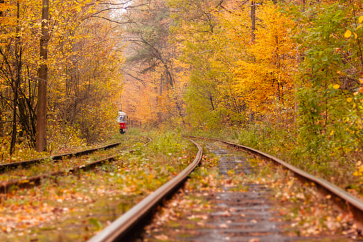 autumn forest among which goes a strange tram photo