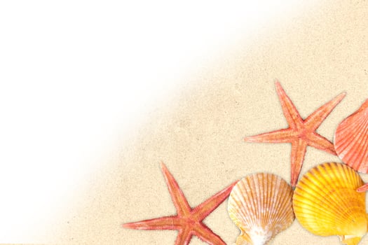 Summertime background with sand and sea shells photo