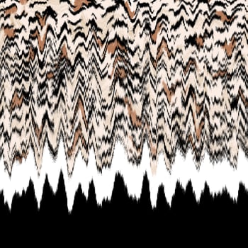 Mixed animal print, wind effect animal texture, zebra, tiger, leopard skin. photo