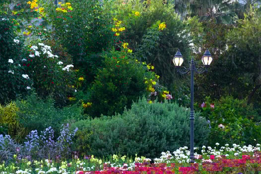 street lighting of lanterns in park flowers photo