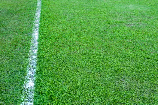 Real Green grass texture of a soccer field,soccer field outdoor,line white on football field photo