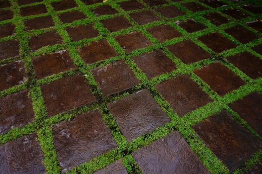 Walkway on green grass at garden,A path, walkway from the park,Some block of stone placed on the ground grass photo