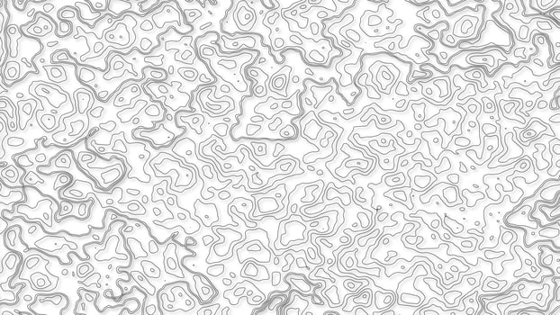 Topographic background and texture. abstraction with place for text. Topo backdrop lines, contour, geographic grid. Modern black and white topographic contours lines of mountains. Topography map art photo
