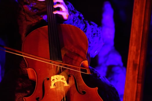 woman hands playing cello detail close up photo