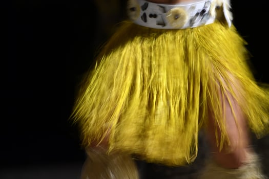 Polynesian dancer hula move effect photo