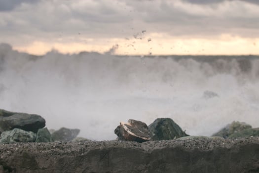 Sea Storm on the shore photo