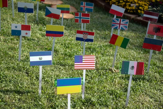 Usa and united nations many flags on grass photo