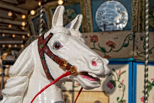 old carousel horse photo