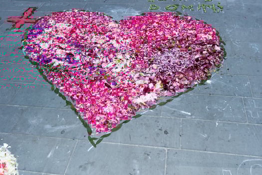 petal and flower carpet for corpus domini christi celebration photo